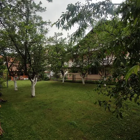 Golden Paradise * Sarajevo
